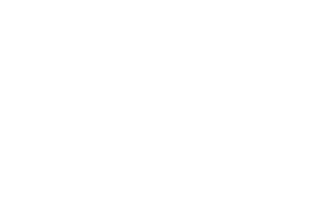 Logo Distribuggy