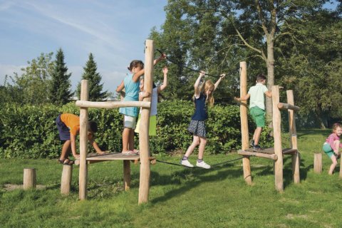 Parcours d'agilité en bois de Robinier