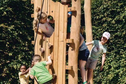 Jeux à grimper et à escalader en Robinier