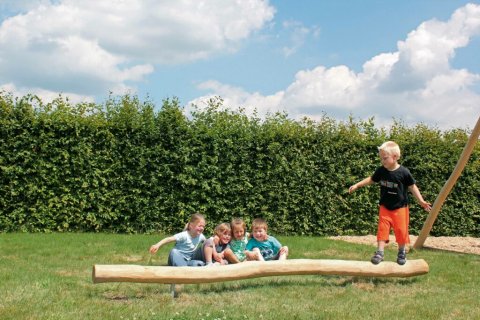 Jeux de force et equilibre en bois de Robinier Nid de Cygogne
