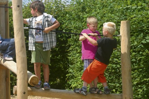 Tour Magique avec toit sans parcours d'équilibre en bois de Robinier