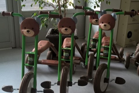 Tricycle Forest Bear L Italtrike
